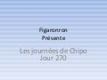 Les journées de chipo - Jour 270