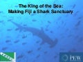 The King of the Sea: Making Fiji a Shark Sanctuary (English)