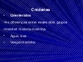 Filo cnidária