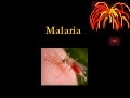 Malaria