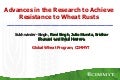 Advances in the research to achieve resistance to wheat rusts