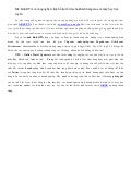 ABAY.vn và Mô hình OTA và công nghệ 1click hỗ trợ khách hàng mua vé máy bay trực tuyến