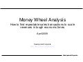 Financial Literacy: Money Wheel Analysis