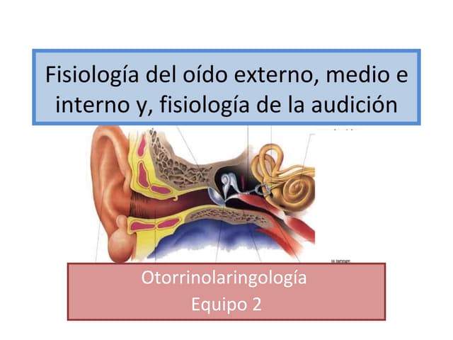 Fisiología del oído externo, medio ...