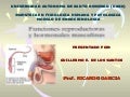 Fisiologia reproductora masculina 22