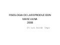Fisiologia Reproductor Masculino 2009