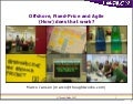 Fixed Price Offshore Agile projects