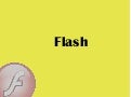 Flash