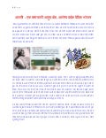 Flaxseed  - Wonderful Food 