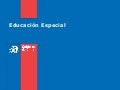 Flexibilizacion curricular