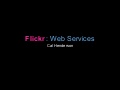 Flickr Services