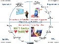 Flipped Classroom-Full Picture Presentation - 2013