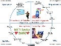 Flipped Classroom: The Full Picture