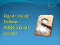 Flor de sal de Colima... adiós a la sal común