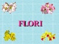 Flori