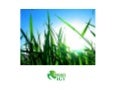 Développement Durable et Green IT