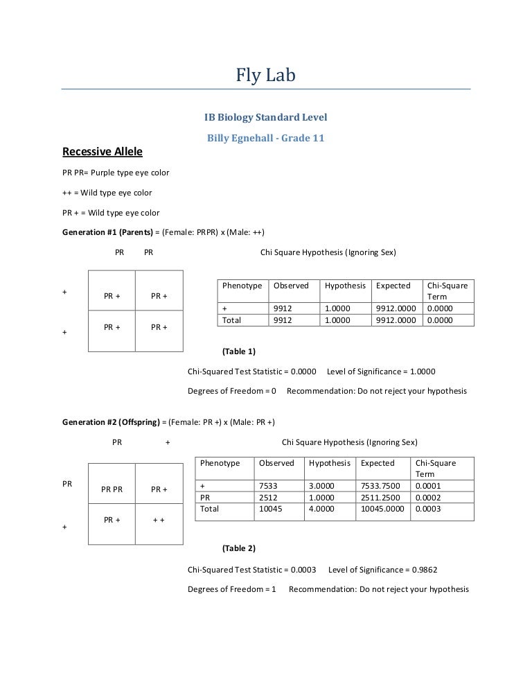 drosophila fly lab report fruit fly lab report
