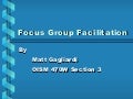 Focus Group Facilitation[1]