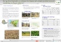 Forage development as an input for improved animal production and marketing in Fogera district 
