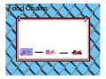 Food Chains & Webs