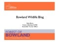 Forest Of Bowland - Aggregate Blog
