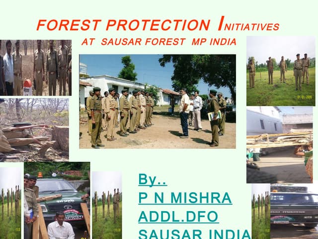 Forest protection  initiatives