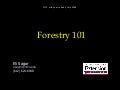 Minnesota Forestry 101