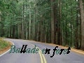 Forests