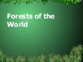 Sec1 - Forests Of The World Worksheet