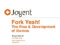 Fork Yeah! The Rise and Development of illumos