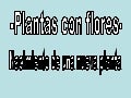 Formación nueva planta