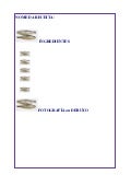 Formato receitas das sardiñas