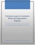 Formatos para la comisión mixta de seguridad e higiene