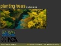 Planting Trees in Urban Areas