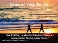 Forms of yang tai chi