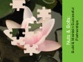 Nuts and Bolts: Build and Maintain Successful Partnerships