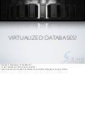 Virtualized Databases?