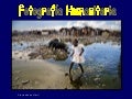 Fotografía Humanitaria