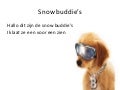 Buddy's