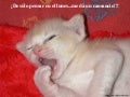 Fotos con Humor