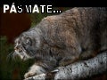 Fotos De Naturaleza