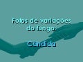 Fotos de variações do fungo cândida 1
