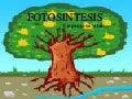 Fotosintesis
