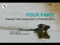 FOUR PAWS disaster relief pakistan 