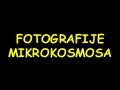 Fotos of microcosmos