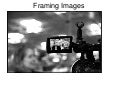 Framing Images (2010)