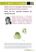 France pov synergies digital luxe