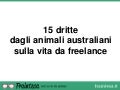 Francesca Barbieri - Alcune dritte dagli animali australiani sulla vita da freelance