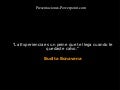Frases graciosamente inteligentes