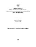 Twitter: Pesquisa sobre a frequência de acesso dos usuários locais (Salvador - BA)